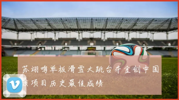 苏翊鸣单板滑雪大跳台夺金创中国该项目历史最佳成绩