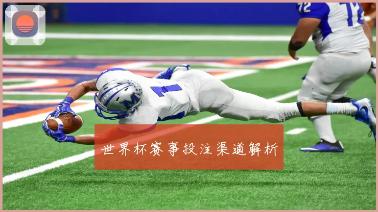 世界杯赛事投注渠道解析